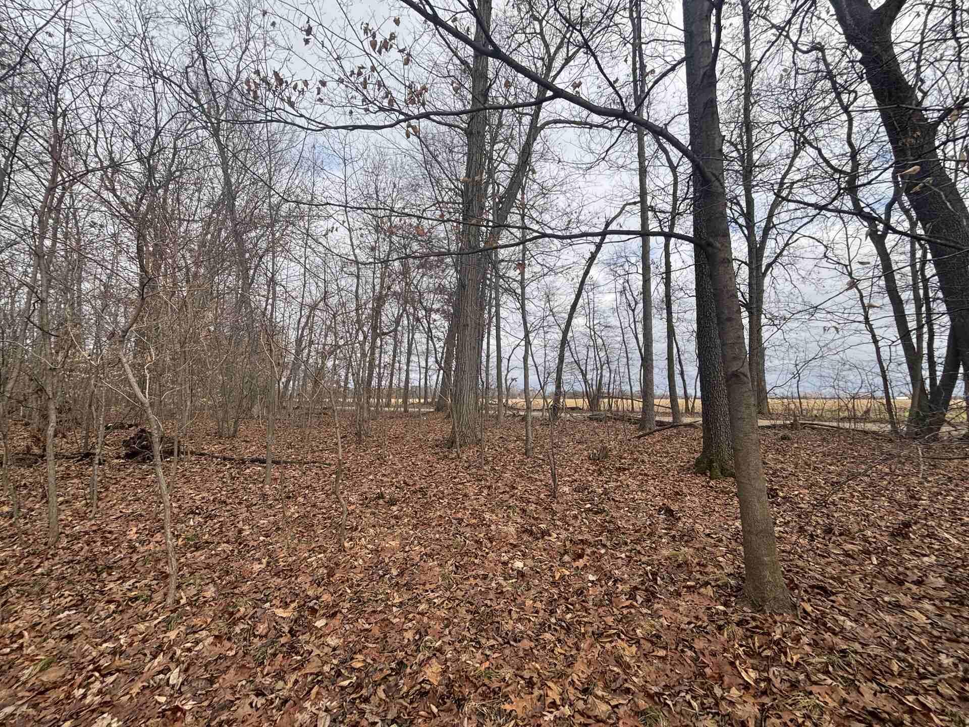 25 A 89th Decatur, MI 49045 - Photo 10 of 28 IMG_4243