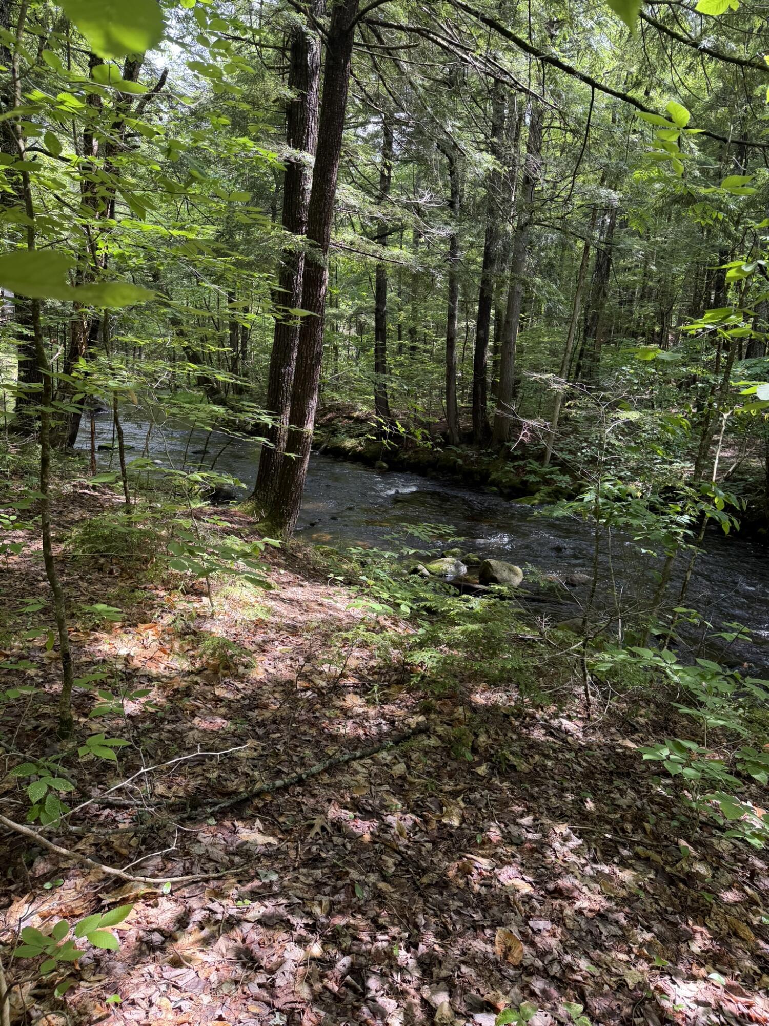 Lot 44 Rolfe Road Harrison, ME 04040 - Photo 20 of 21 IMG_1116