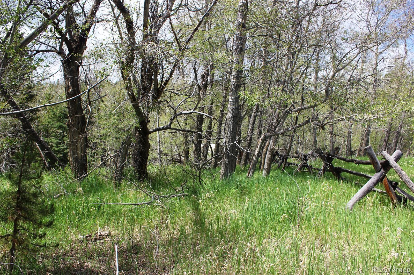 0 Quartz Hill Road Central City, CO 80427 - Photo 20 of 30