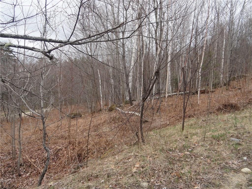0 Redding-saunders Road Bryant Pond, ME 04219 - Photo 28 of 29 Photo