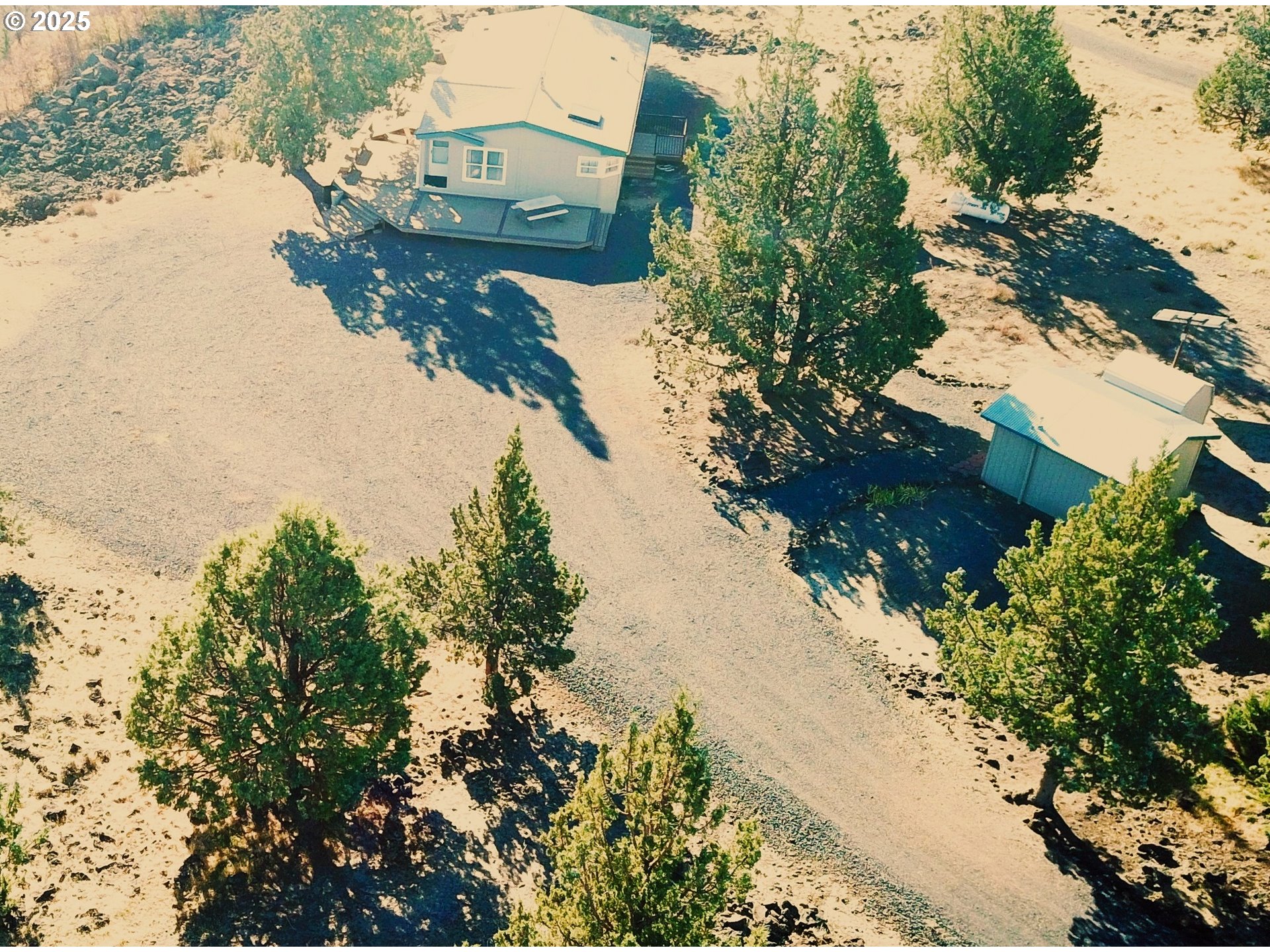 12705 Southwest Airfield Lane Culver, OR 97734 - Photo 2 of 20 a picture of tree