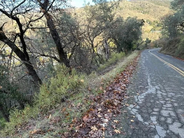 a big yard with lots of green space