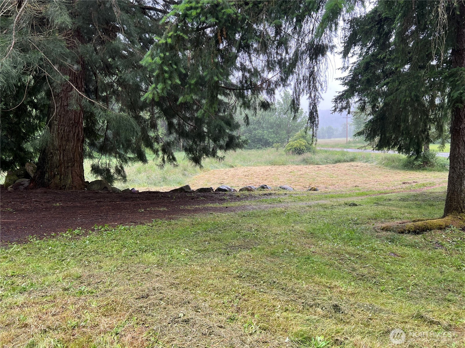 452 Lincoln Creek Road Centralia, WA 98531 - Photo 7 of 25 a view of yard with tree