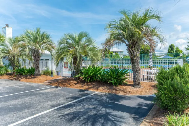 a palm tree sitting in front of a house with a big yard