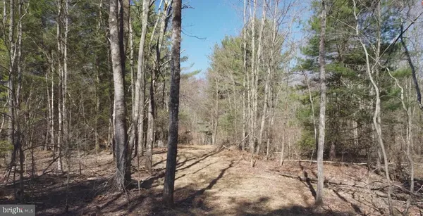 a view of a backyard of a house