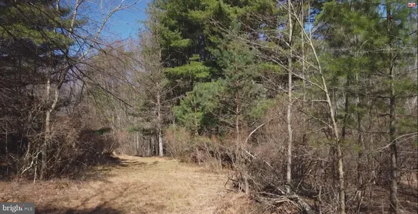 a view of a backyard of the house