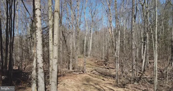a view of wooden fence
