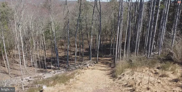 a view of a mountain range with trees in the background