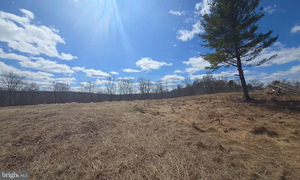 a view of a yard