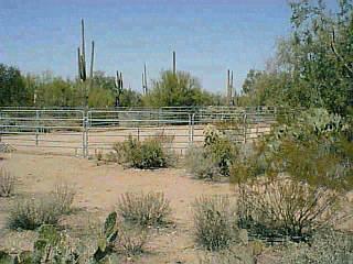 4917 North Lak A Yucca Road Tucson, AZ 85743 - Photo 3 of 5