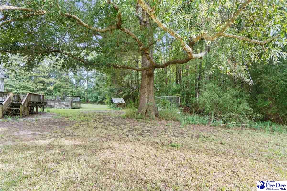 444 Judge Road Dillon, SC 29536 - Photo 44 of 51 Gallery Image 44