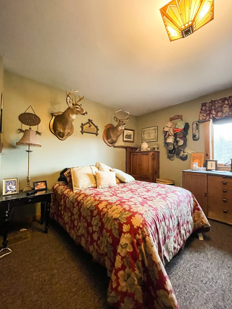 171 Duley Road Altona, NY 12910 - Photo 22 of 32 Gallery Image 22