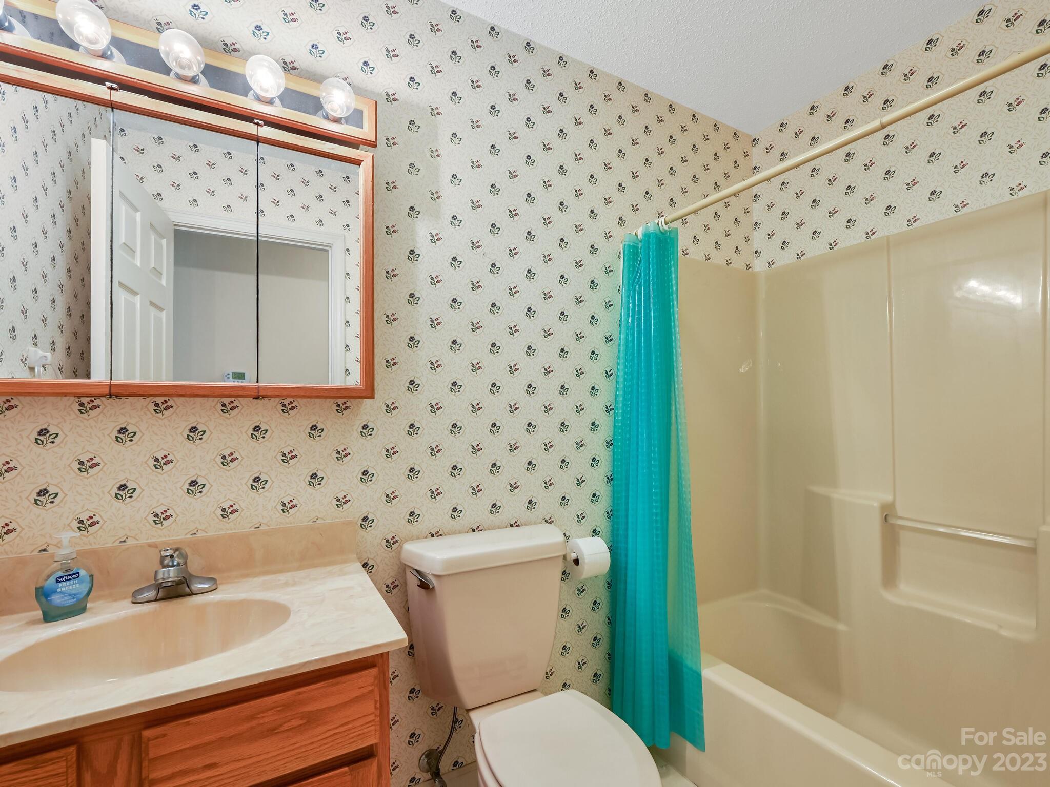 15 Maple Road Arden, NC 28704 - Photo 19 of 33 a bathroom with a sink toilet and shower