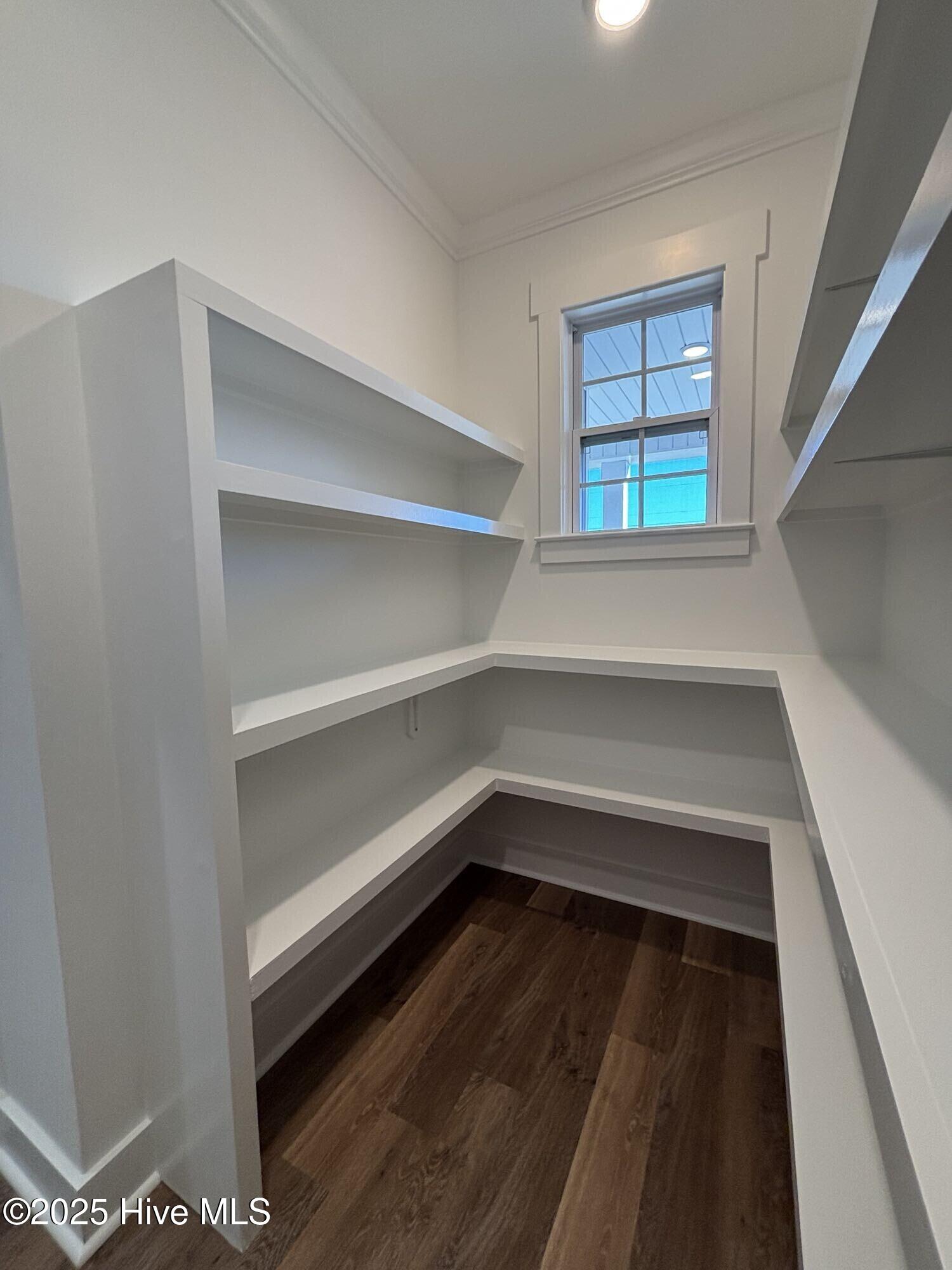 3901 Terrapin Track Road Washington, NC 27889 - Photo 6 of 13 Pantry 2