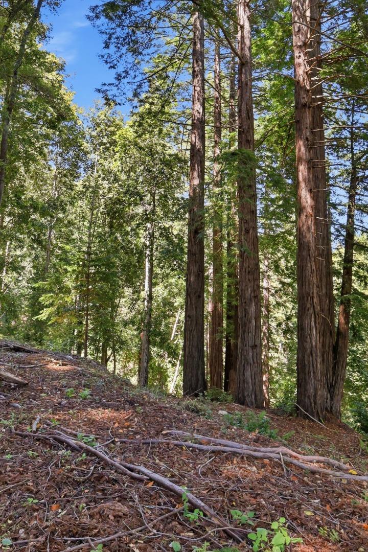 375 Blair Ranch Road Scotts Valley, CA 95066 - Photo 43 of 43