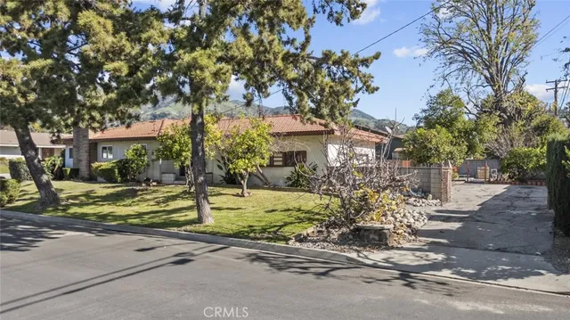 a view of a yard with plants and trees