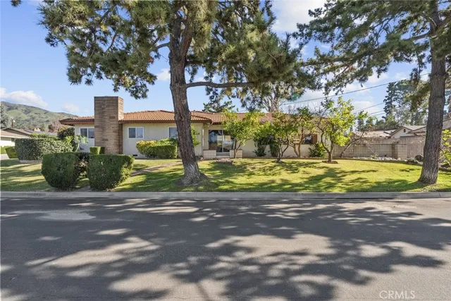 a view of a street with a tree