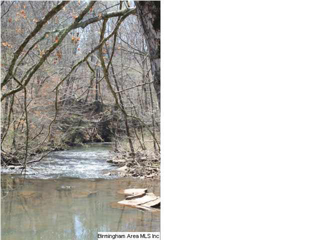 Narrows Road, Unit 168 Remlap, AL 35133 - Photo 13 of 21