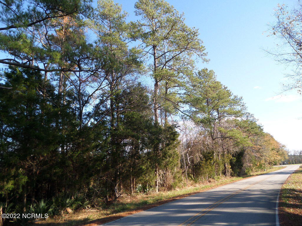 0 Alligator Creek Road Merritt, NC 28556 - Photo 16 of 27 SAM_6325