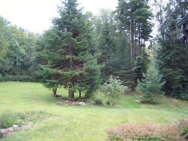 201 Savoy Hollow Road Windsor, MA 01270 - Photo 2 of 12 Additional Photo