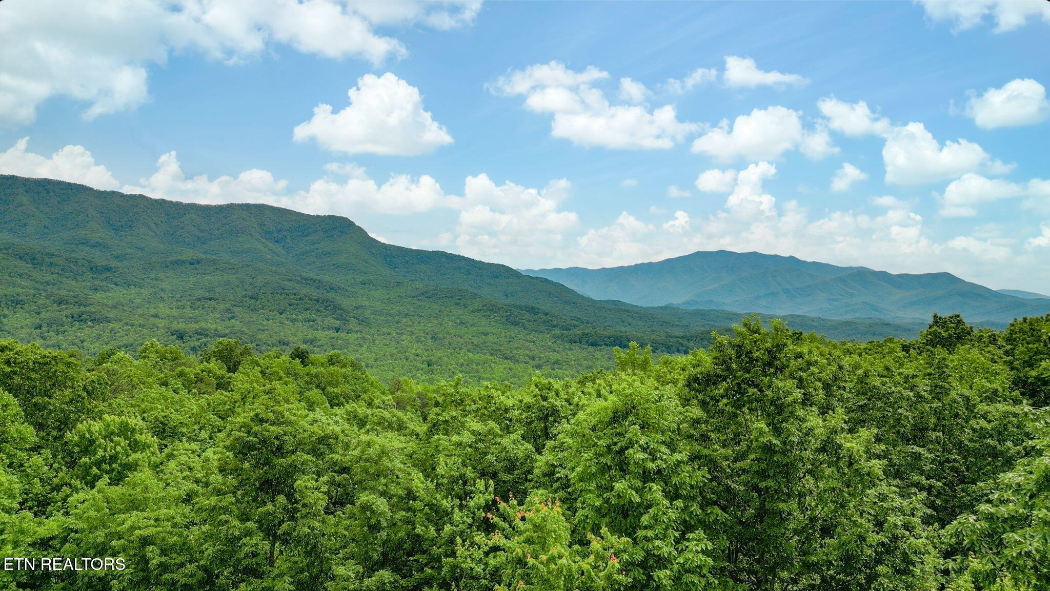 3710 Weber Road, Unit C203 Gatlinburg, TN 37738 - Photo 5 of 36 44-web-or-mls-044--FULL