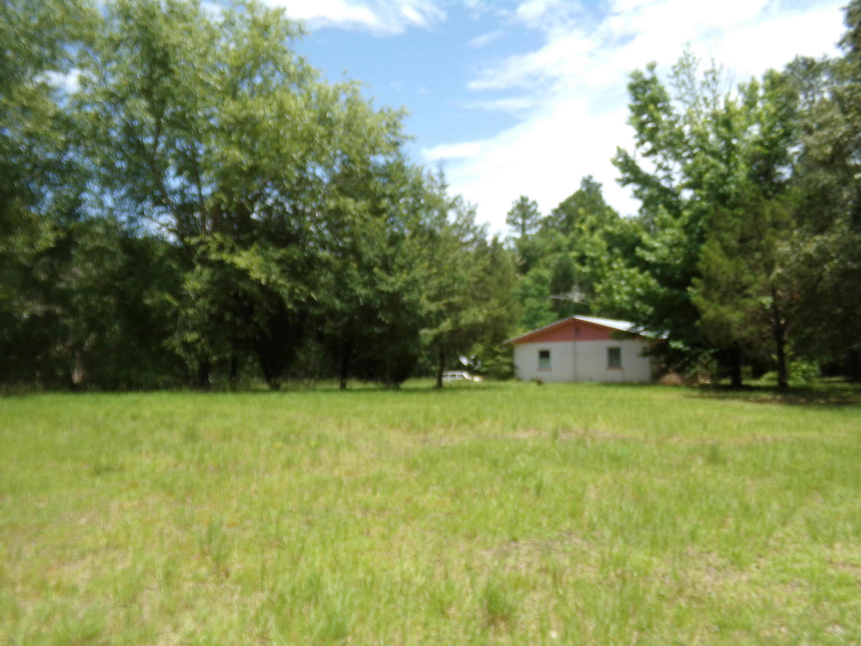 2281 Curtis Madden Road Baker, FL 32531 - Photo 54 of 63 100_2202