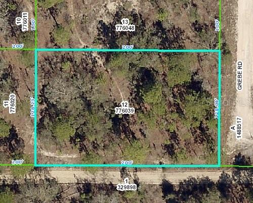 13417 Grebe Road Weeki Wachee, FL 34614 - Photo 1 of 1