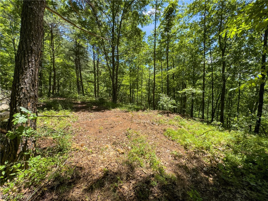 0 Long Hollow Road Pomeroy, OH 45769 - Photo 14 of 31
