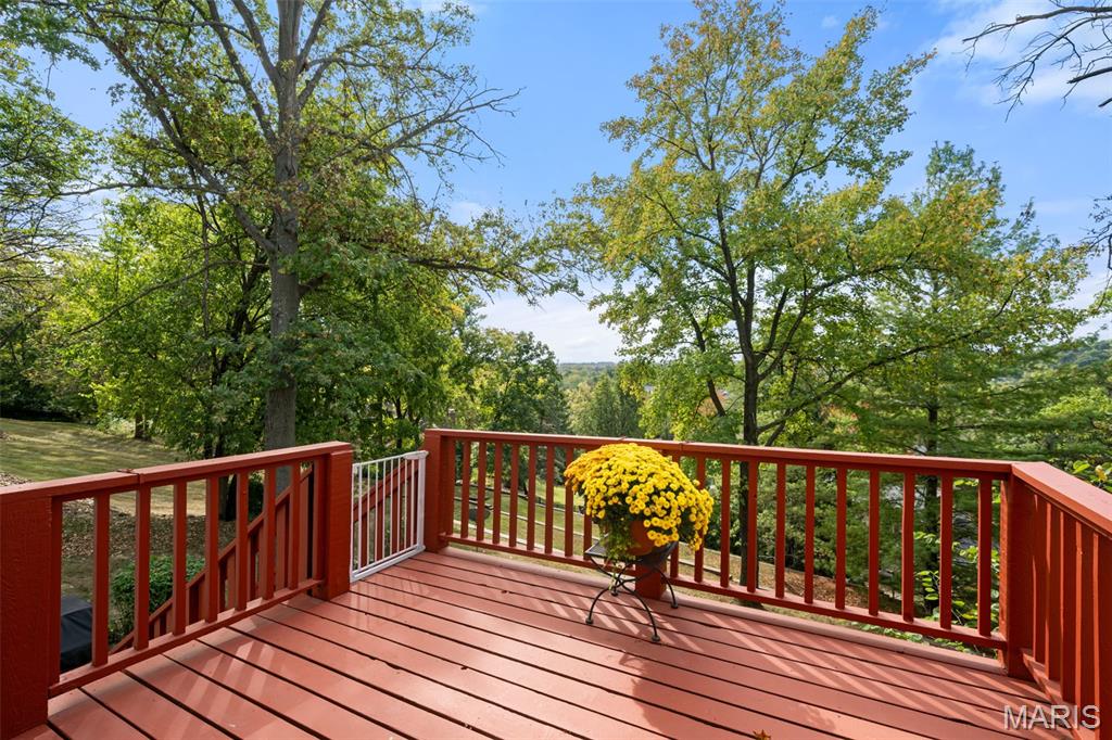 13124 Huntercreek Ridge Road St. Louis, MO 63131 - Photo 40 of 47 Gallery Image 40