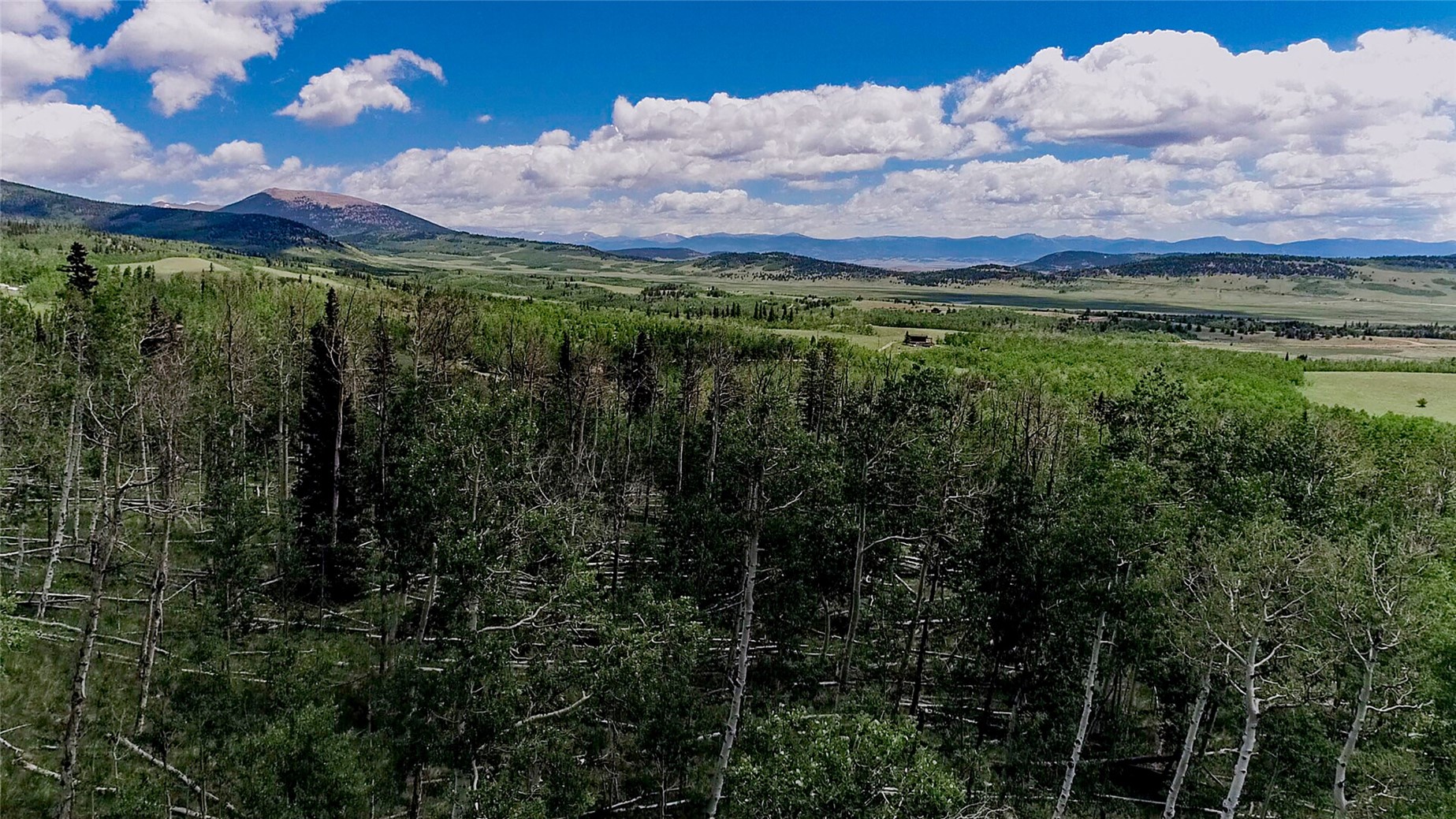 1047 Lumberjack Road Fairplay, CO 80440 - Photo 19 of 27 a view of a city with lush green forest