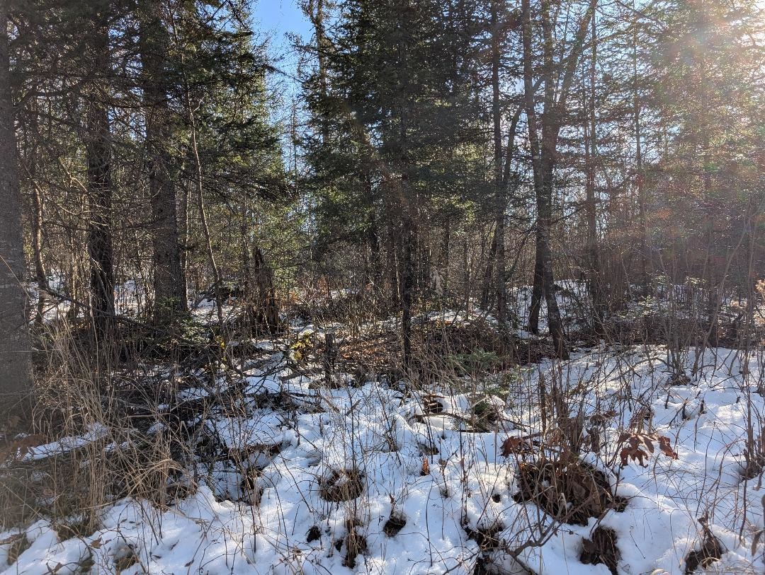 Red House Road Upson, WI 54565 - Photo 15 of 17 Snowy view