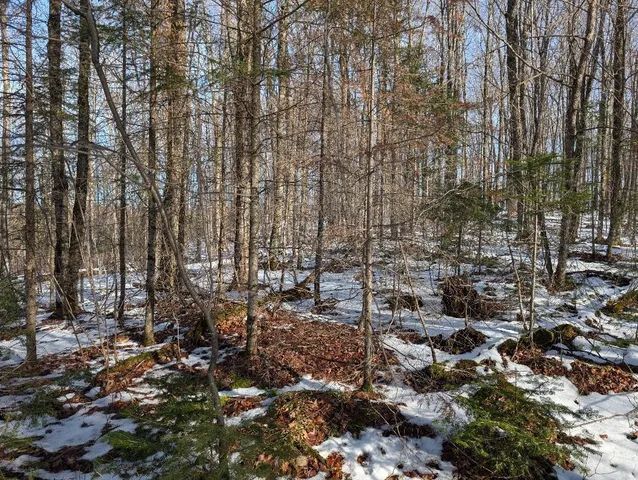 $225,000 | Red House Road, Upson, WI 54565