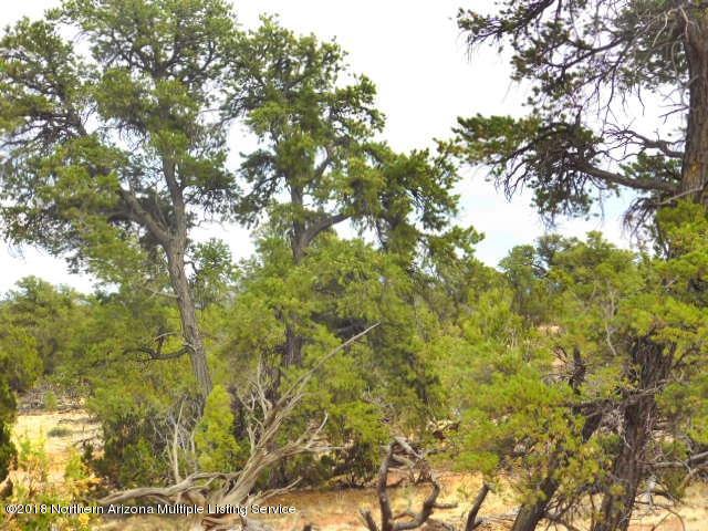 7061 Red Butte Road Valle, AZ 86046 - Photo 10 of 16 DSCN0902
