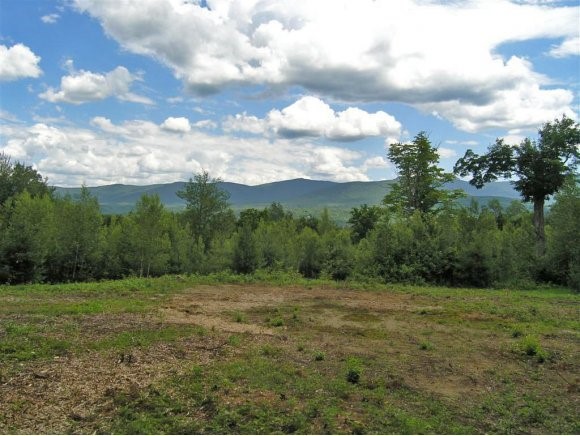 East Tamarack Road Stowe, VT 05672 - Photo 1 of 1 Gallery Image 1