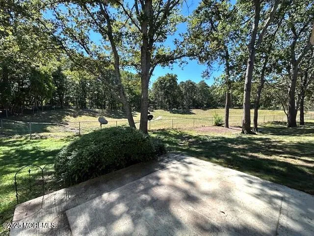 a view of a yard with a tree