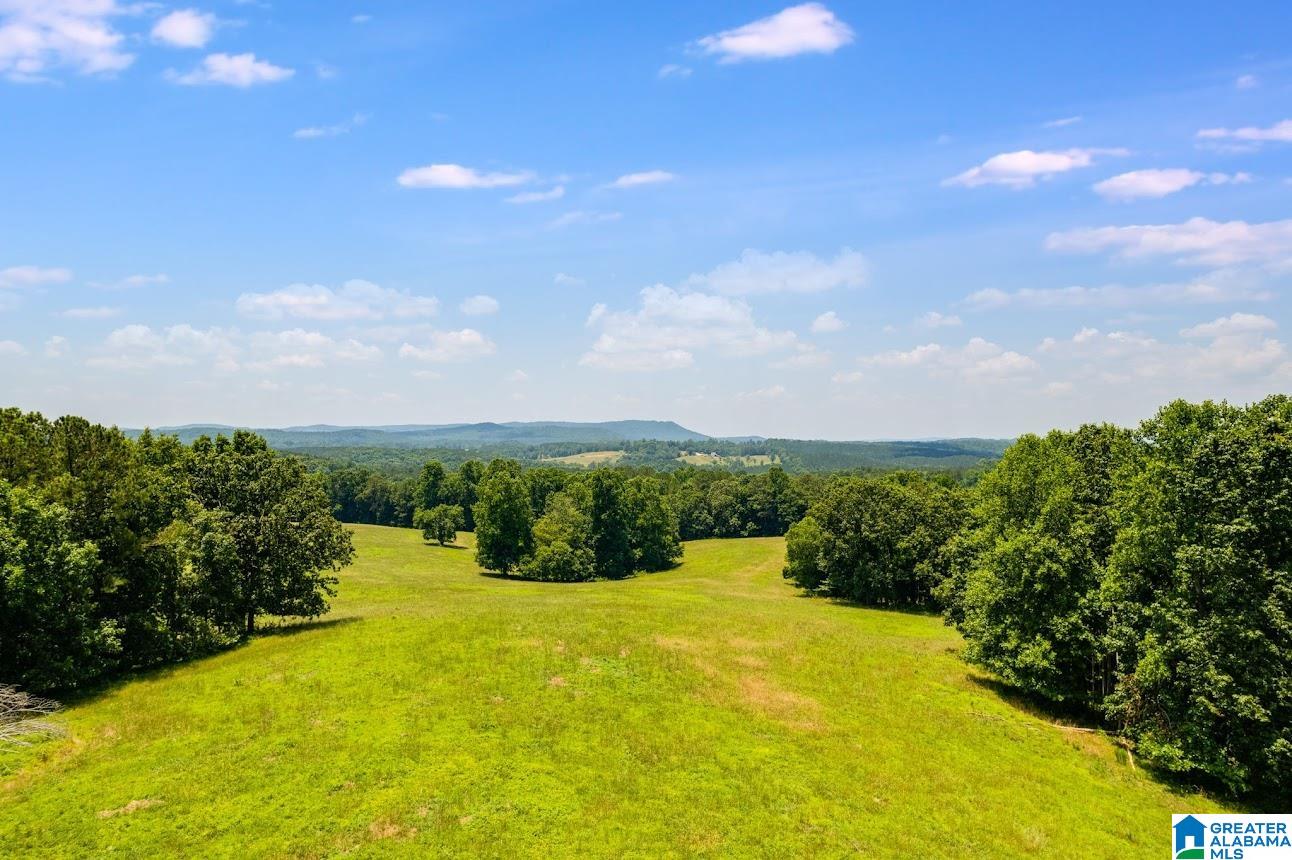14791 County Road 10, Unit 45 ACRES Ranburne, AL 36273 - Photo 3 of 43
