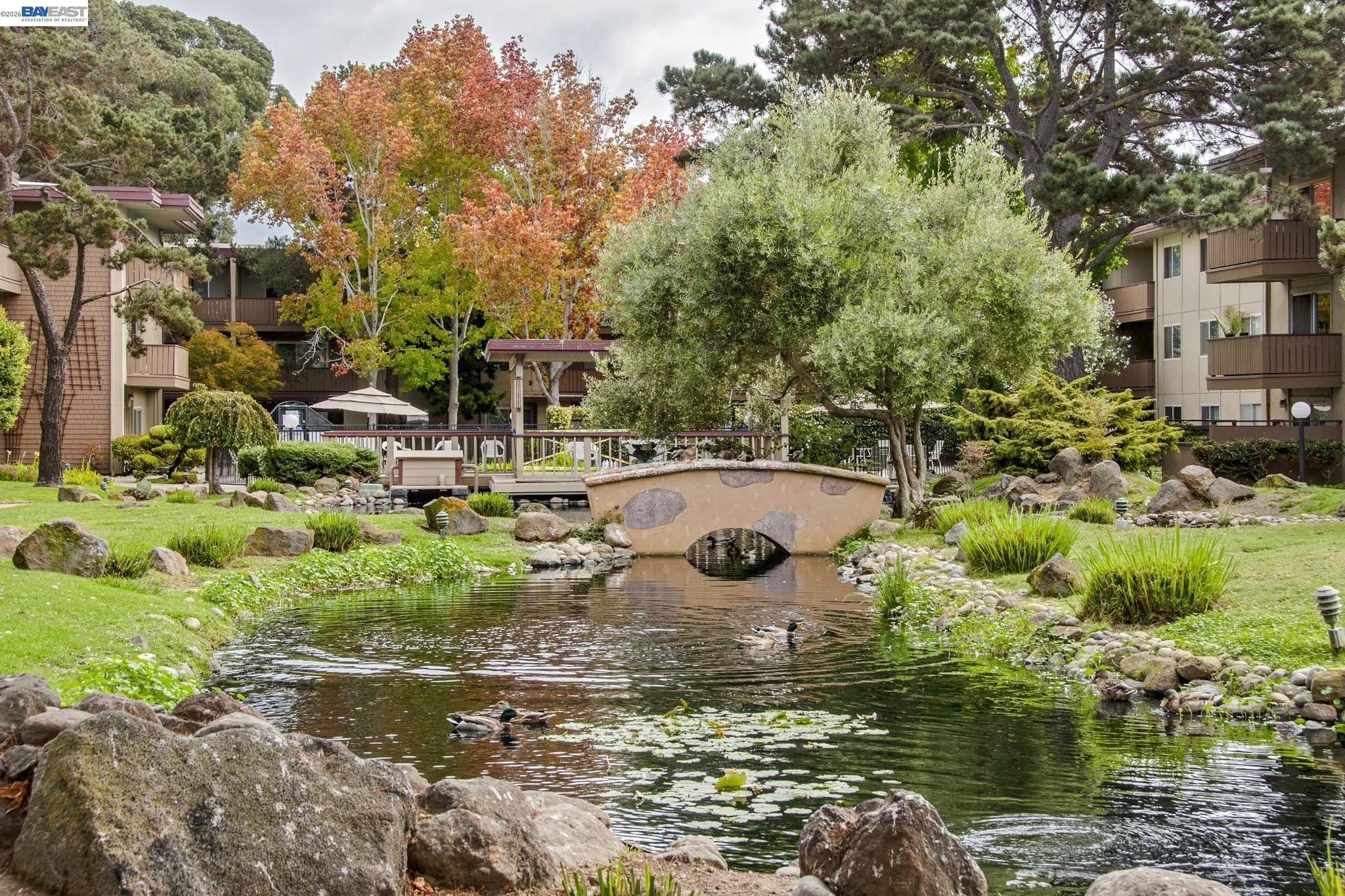 1321 Webster Street, Unit D116 Alameda, CA 94501 - Photo 1 of 22 a view of a lake with houses