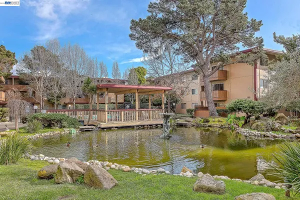 a view of a house with a back yard