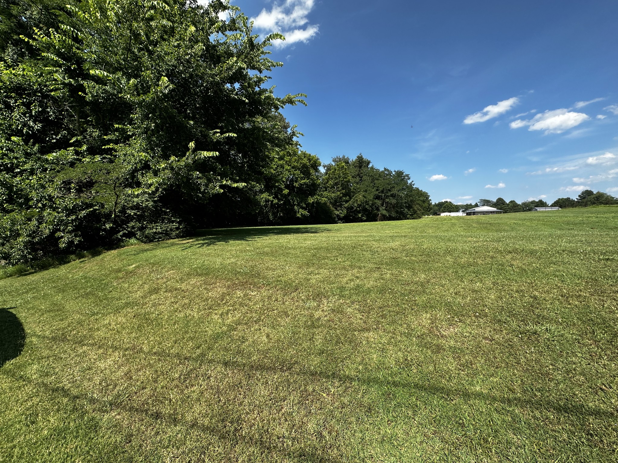 7 Wilson Steel Road Humboldt, TN 38343 - Photo 2 of 4 Gallery Image 2