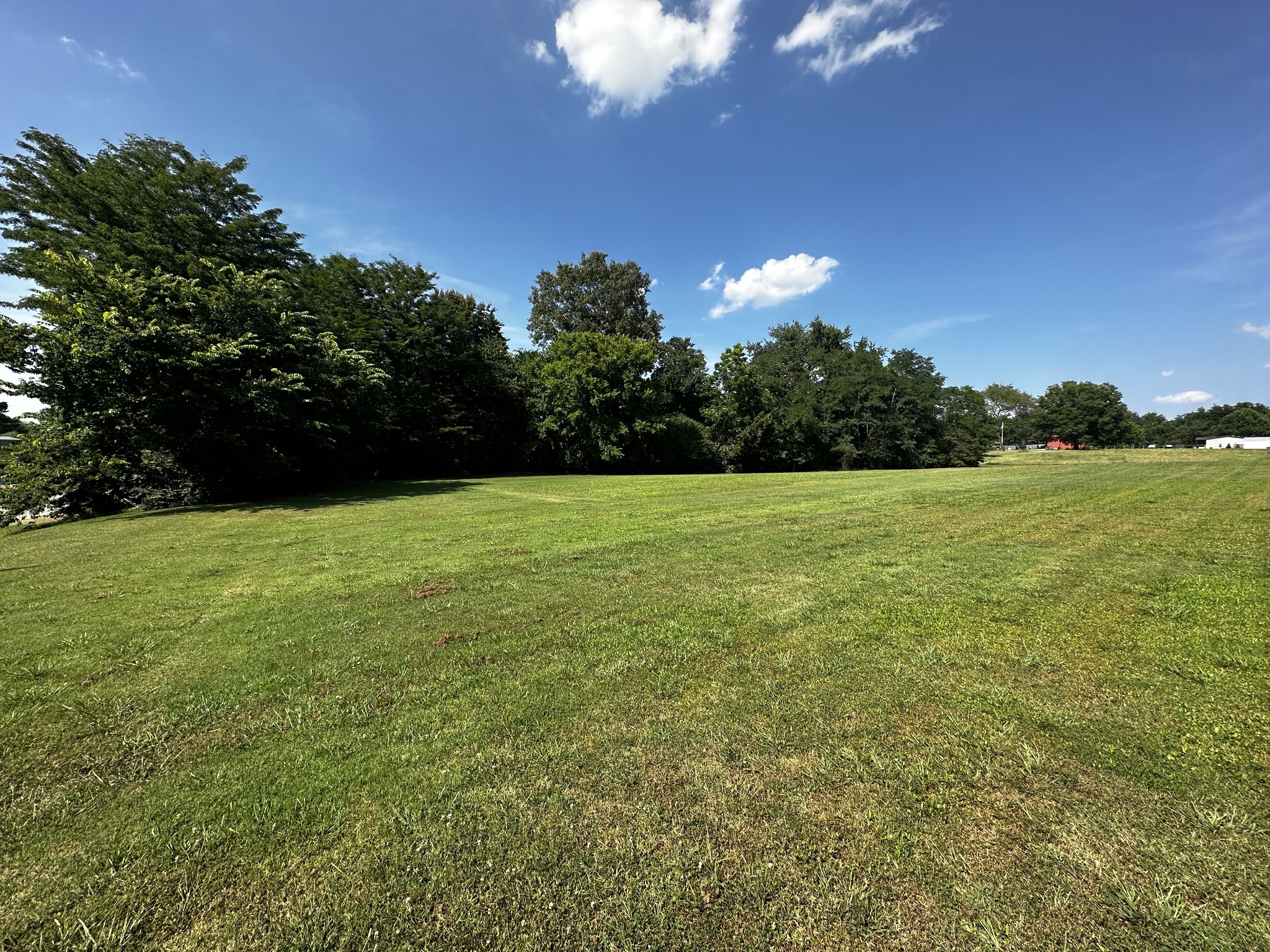 7 Wilson Steel Road Humboldt, TN 38343 - Photo 4 of 4 Gallery Image 4