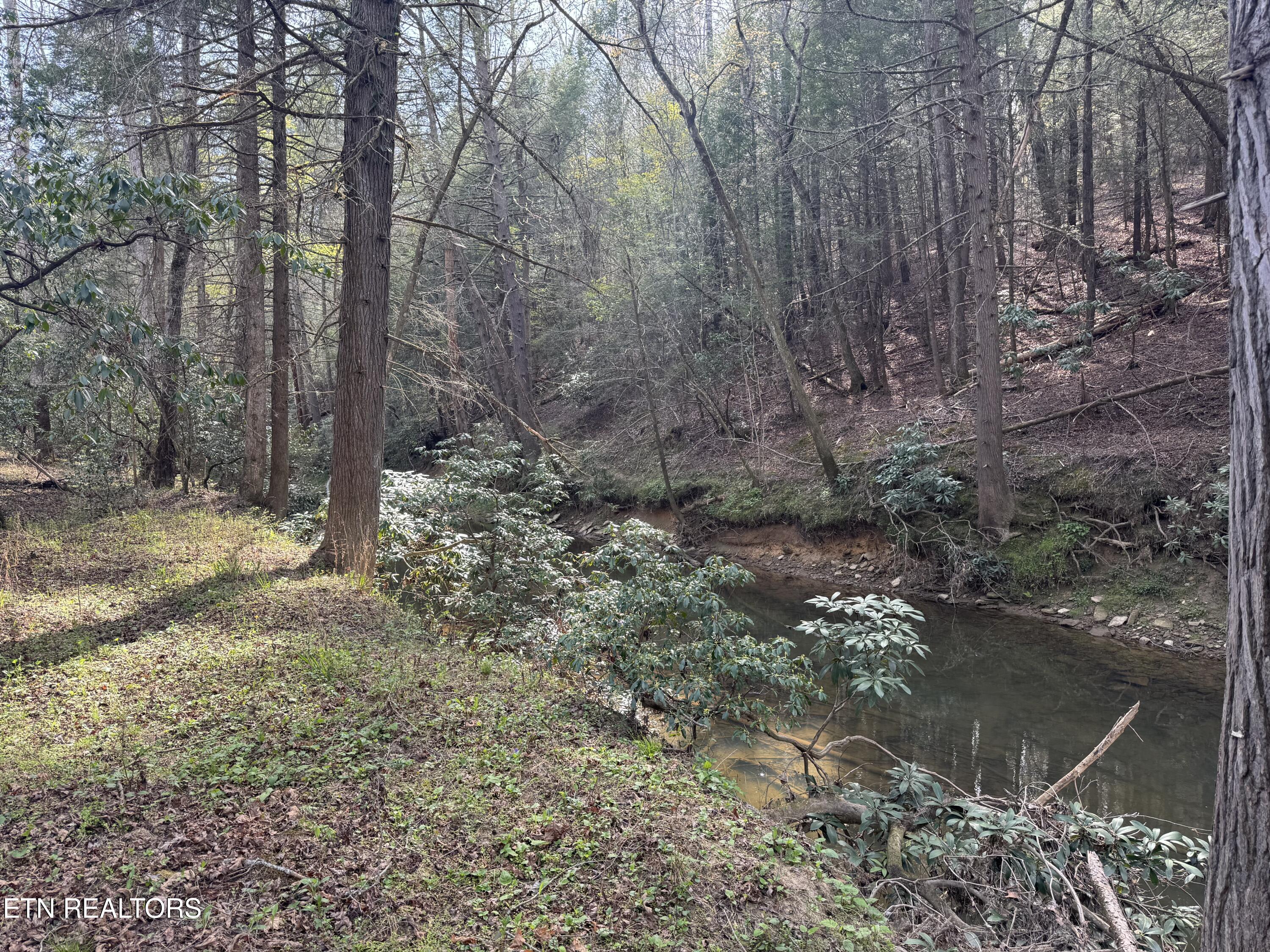 0 Burrville Road Sunbright, TN 37872 - Photo 13 of 21 IMG_3238