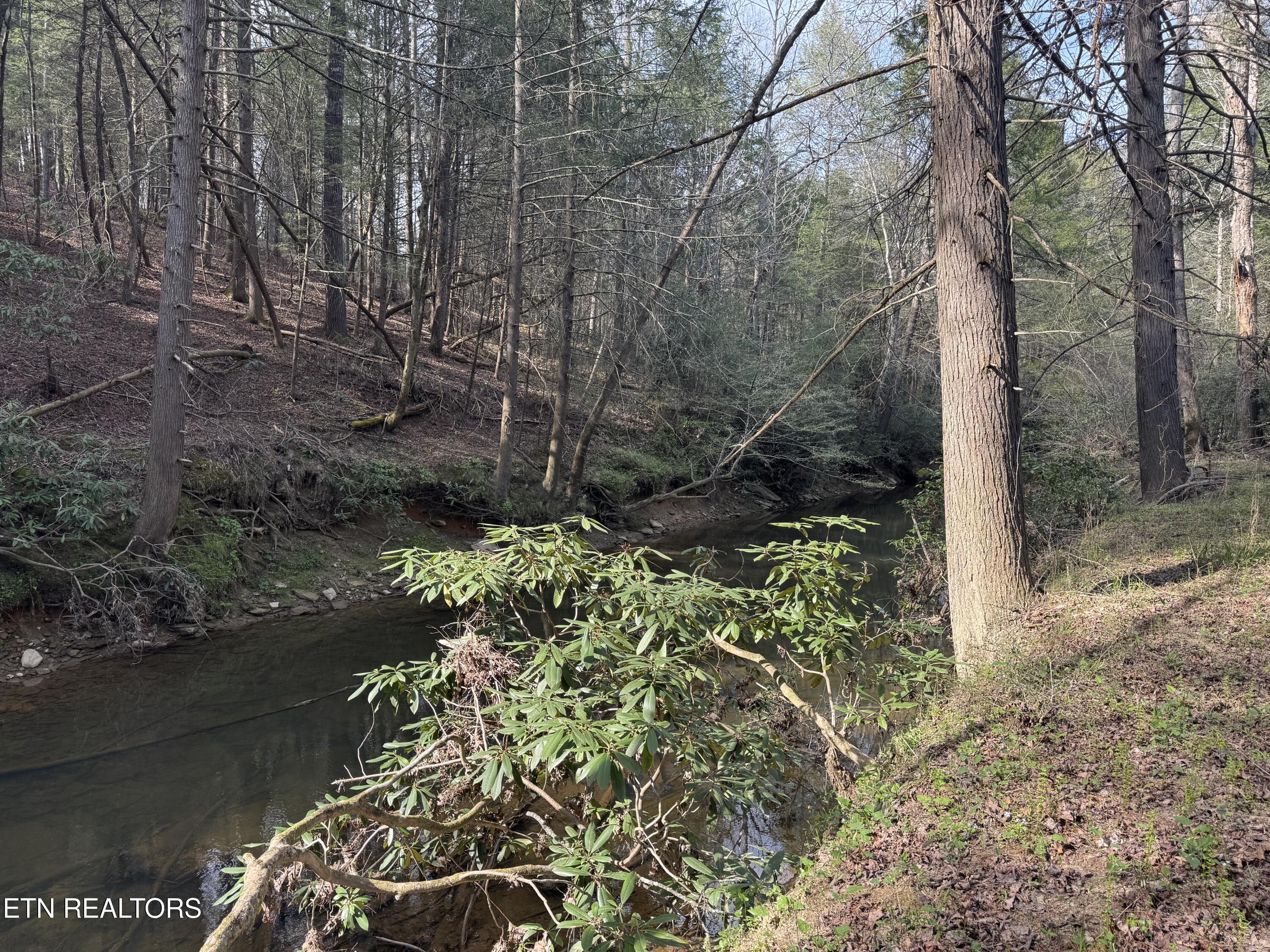 0 Burrville Road Sunbright, TN 37872 - Photo 14 of 21 IMG_3239