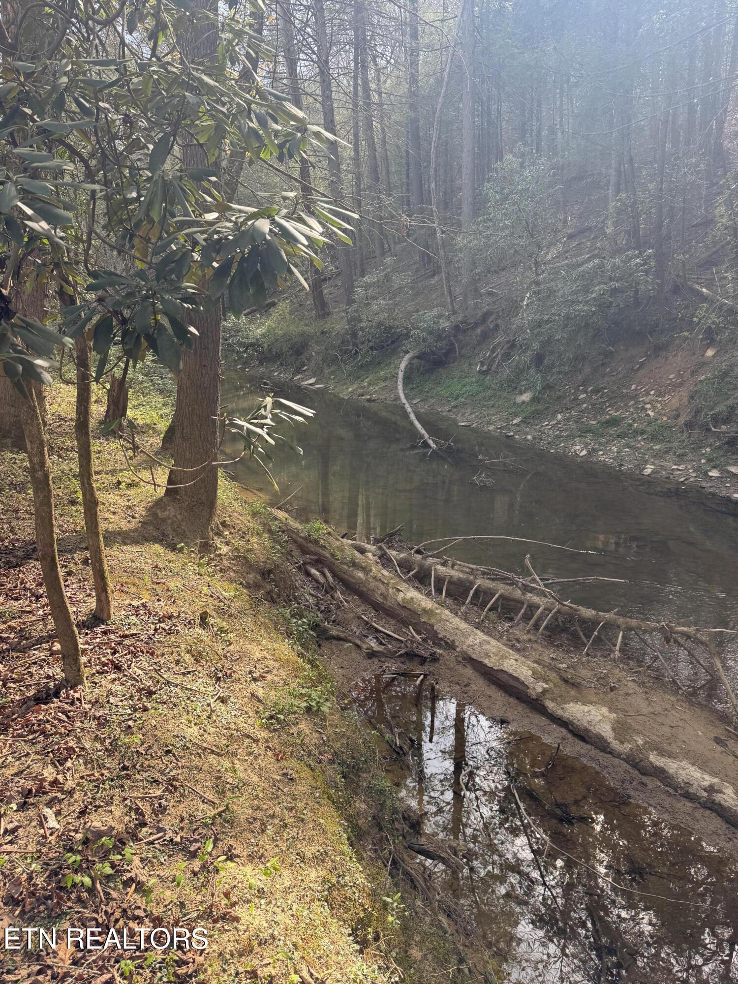 0 Burrville Road Sunbright, TN 37872 - Photo 15 of 21 IMG_3240