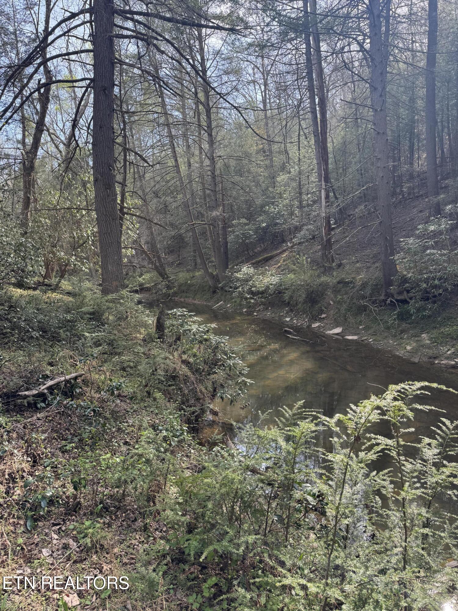 0 Burrville Road Sunbright, TN 37872 - Photo 16 of 21 IMG_3241