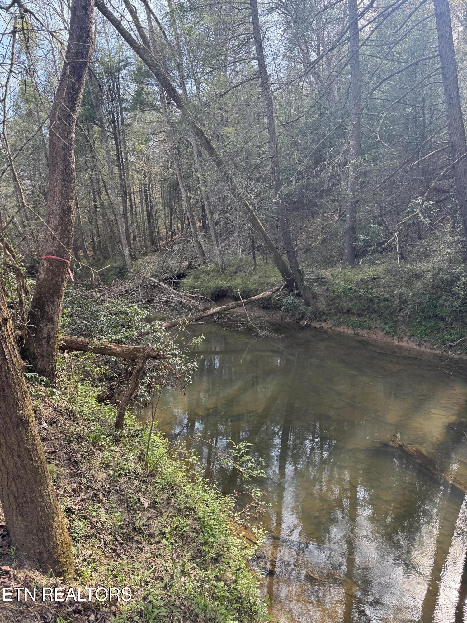 0 Burrville Road Sunbright, TN 37872 - Photo 19 of 21 IMG_3244