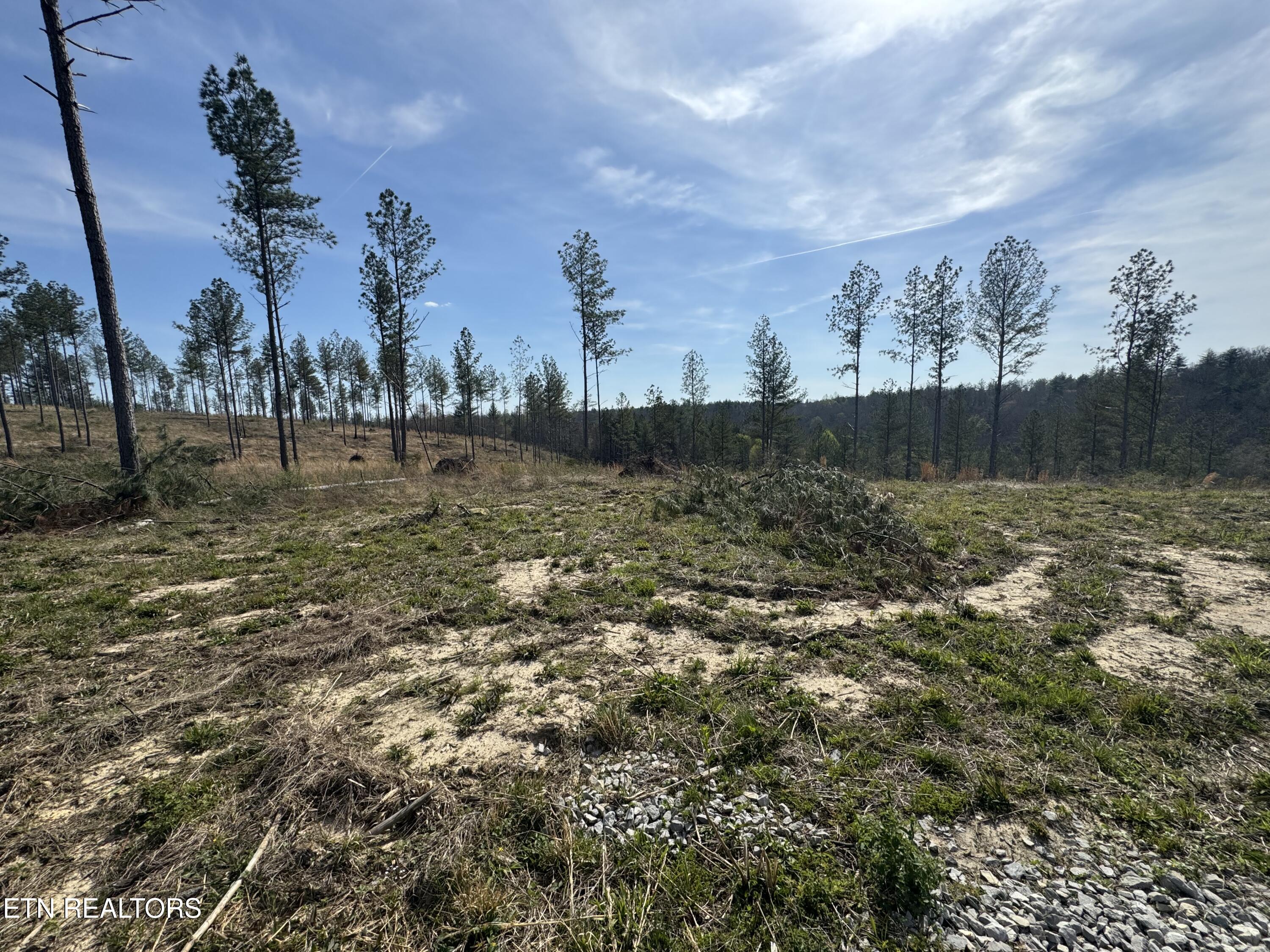 0 Burrville Road Sunbright, TN 37872 - Photo 3 of 21 IMG_3228