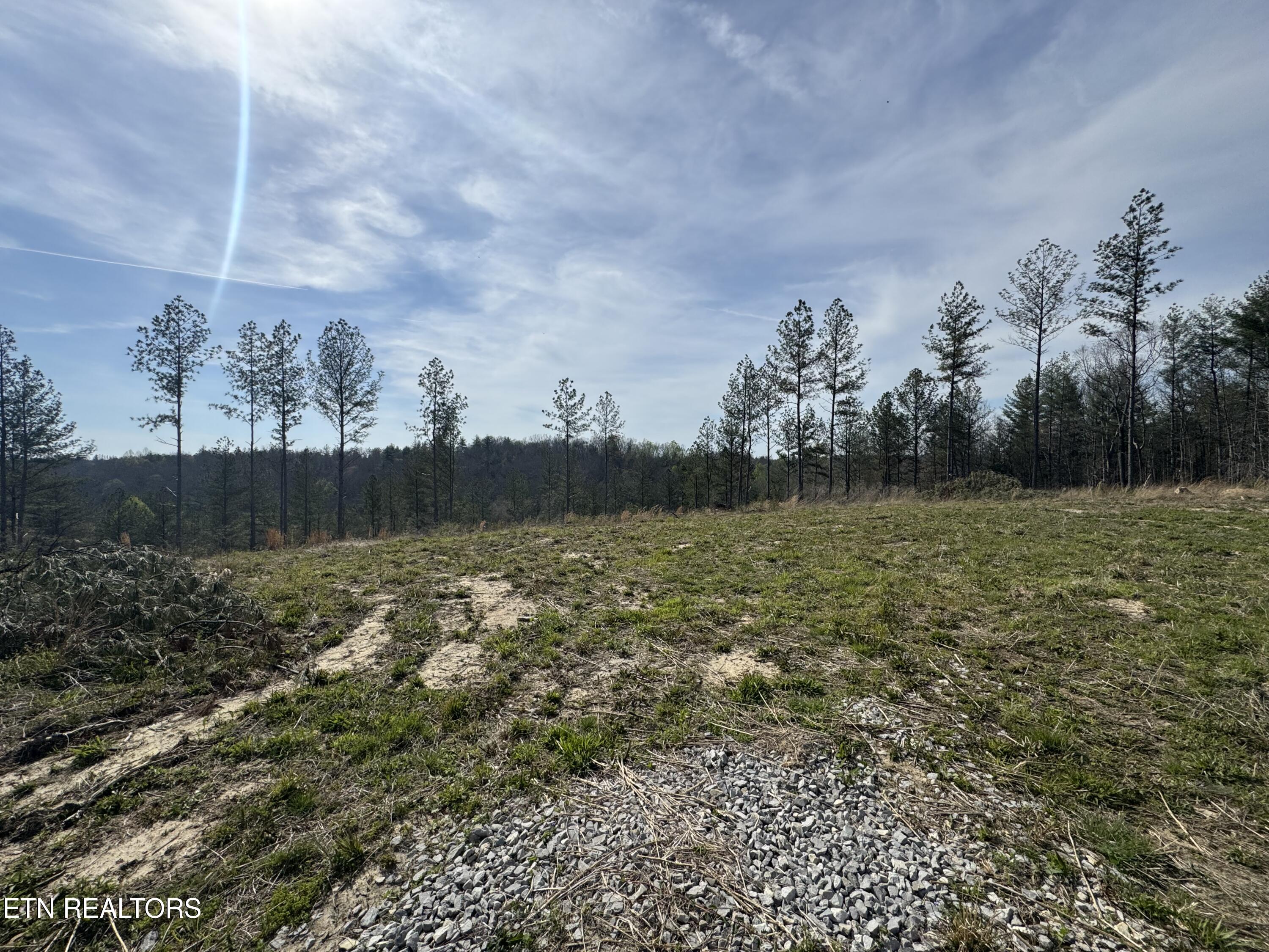 0 Burrville Road Sunbright, TN 37872 - Photo 4 of 21 IMG_3229