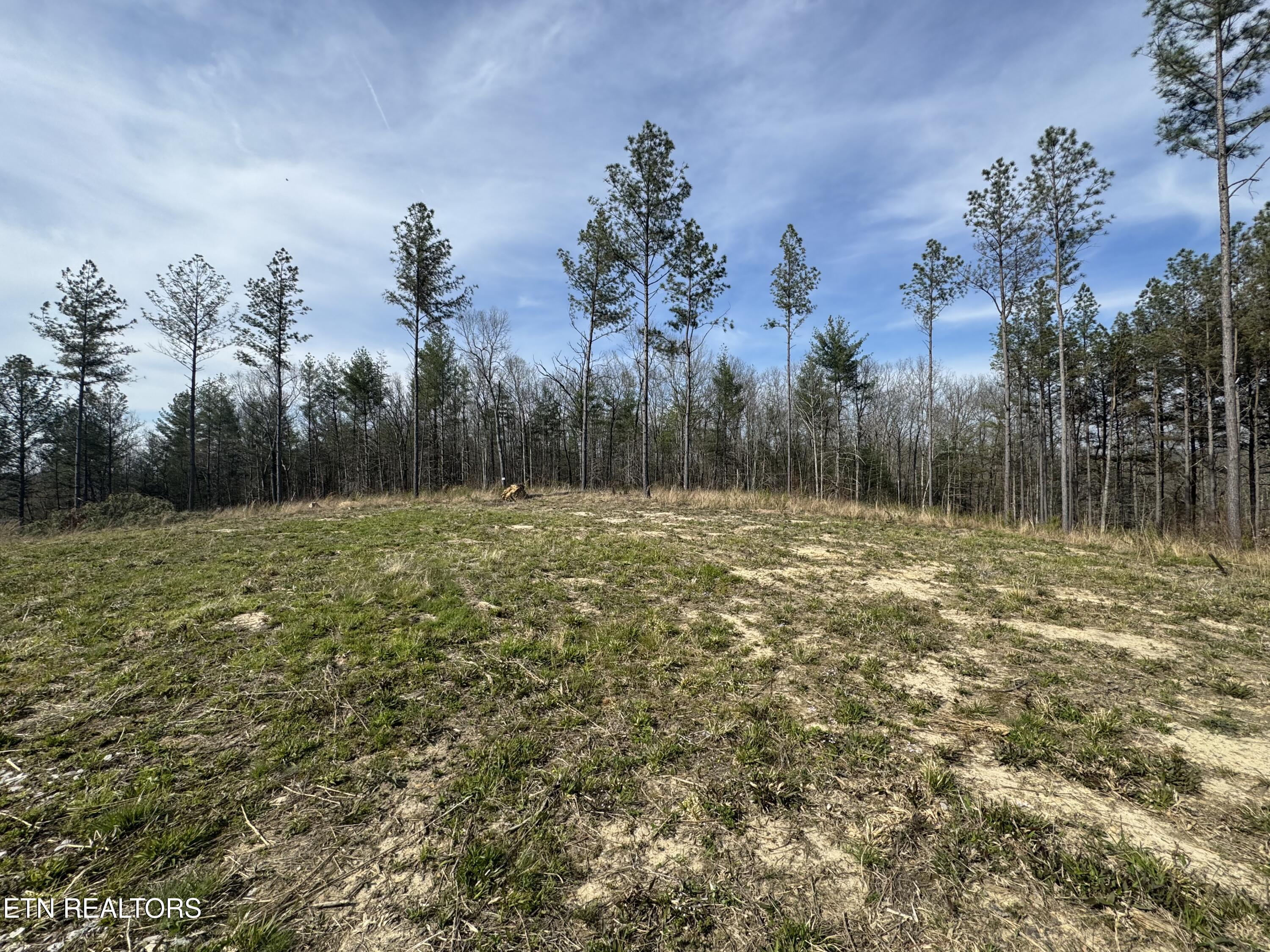 0 Burrville Road Sunbright, TN 37872 - Photo 5 of 21 IMG_3230