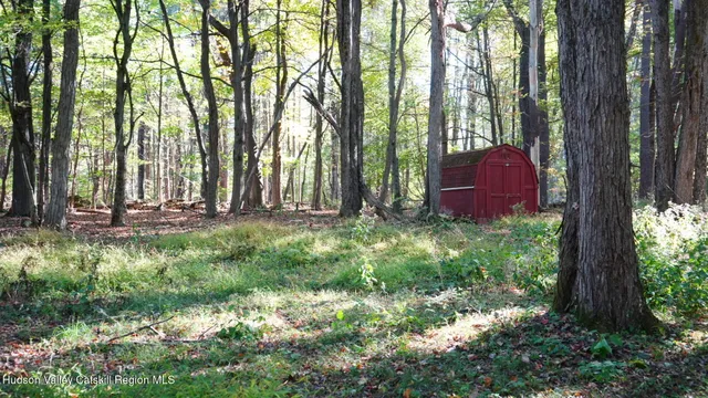 a view of backyard with green space and fountain