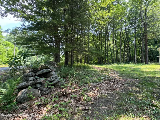 a view of outdoor space with trees all around